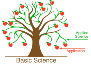 Department Of Basic Sciences